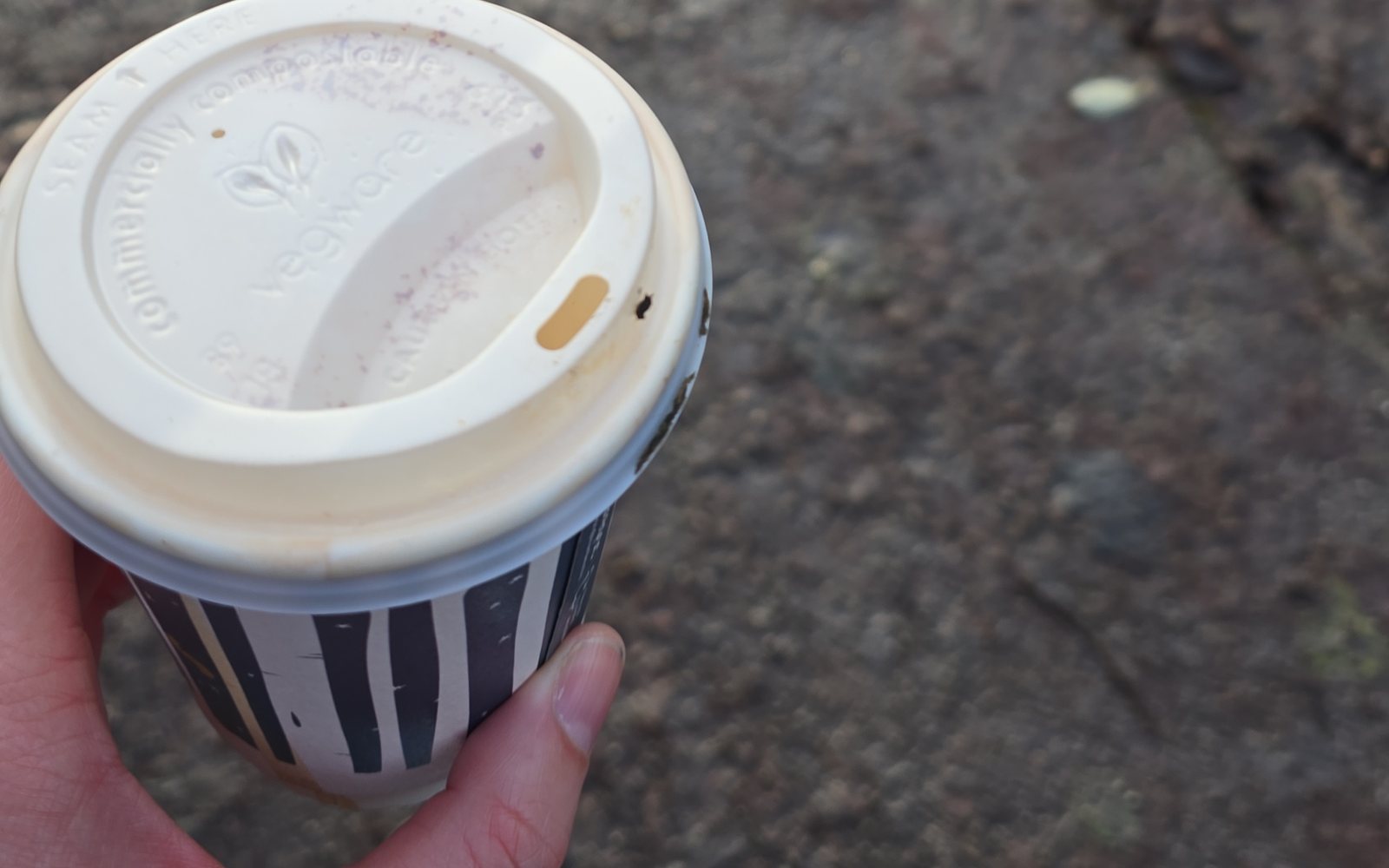 Takeaway coffee on a canal walk